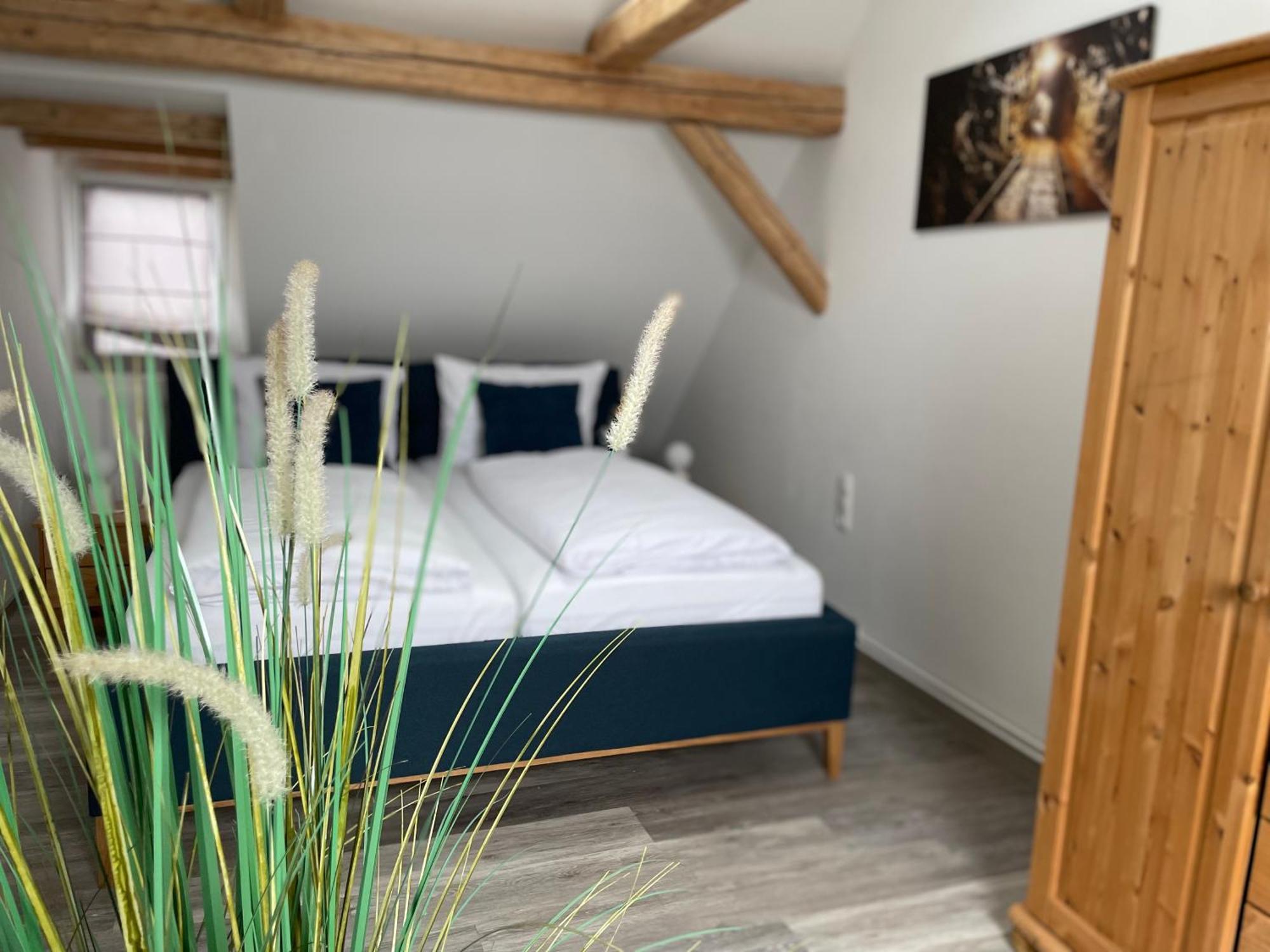 Ferienwohnung Hohensee 1.Og Клаусталь-Целлерфельд Экстерьер фото